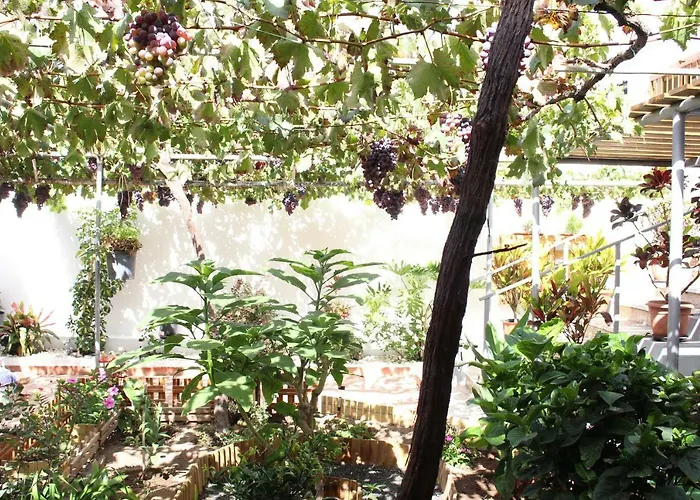 Casa Carmela * Agaete (Gran Canaria)